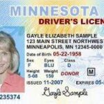 Buy Minnesota Driver License Online
