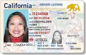 California Driver License and ID Cards for sale