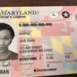 Buy Croatia Driver’s License for Sale
