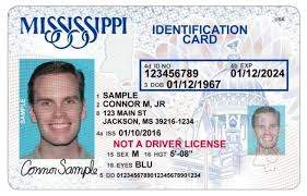 misssipi-1-1.jpg