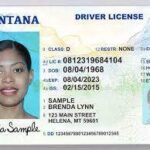 Order Montana Driver License and ID Cards