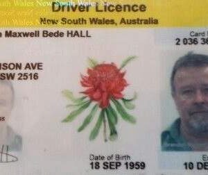 Buy New South Wales Driver License and ID Cards