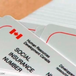 Buy Canadian Social Insurance Card